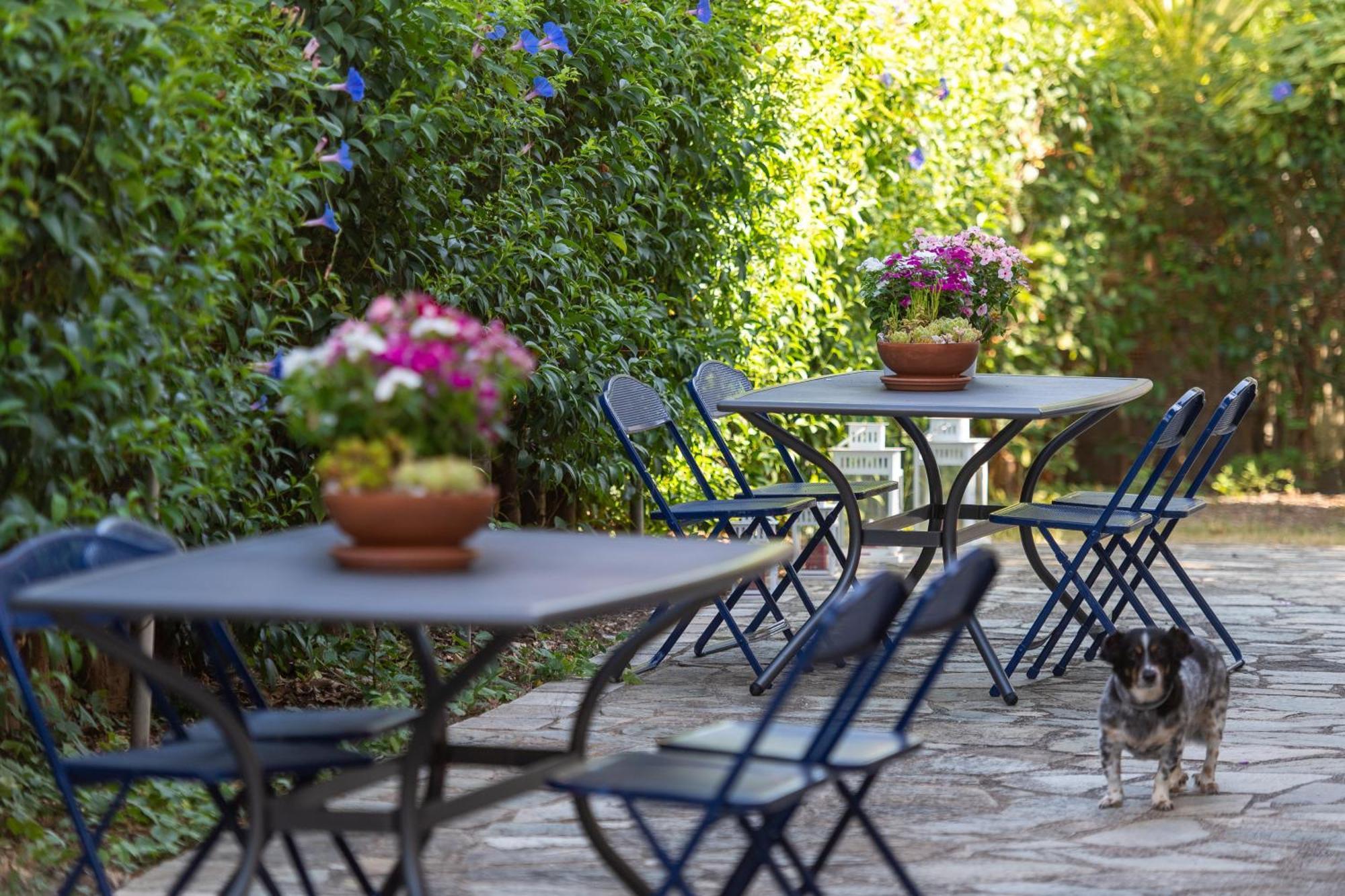 Amarylis Apartments Elaionas  Экстерьер фото